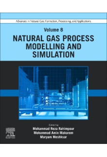 Advances in Natural Gas: Formation, Processing, and Applications. Volume 8: Natural Gas Process Modelling and Simulation - Humanitas