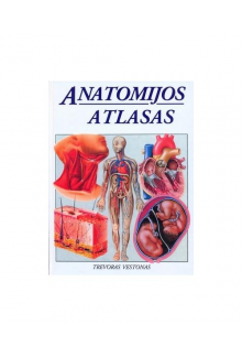 Anatomijos atlasas - Humanitas