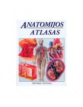Anatomijos atlasas - Humanitas