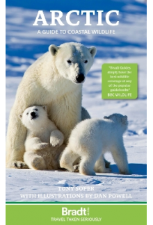 Arctic - Humanitas