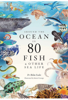 Around the Ocean in 80 Fish - Humanitas