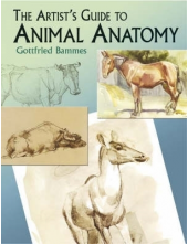 Artist's Guide to Animal Anatomy - Humanitas
