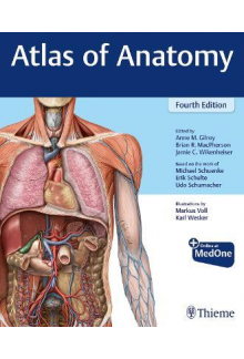 Atlas of Anatomy - Humanitas