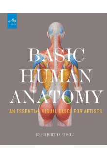 Basic Human Anatomy - Humanitas