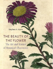 The Beauty of the Flower - Humanitas