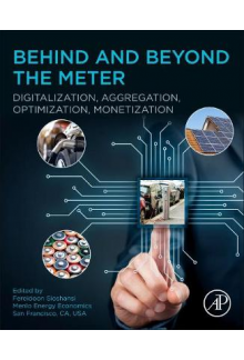 Behind and Beyond the Meter - Humanitas
