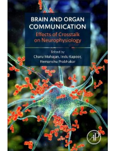 Brain and Organ Communication - Humanitas