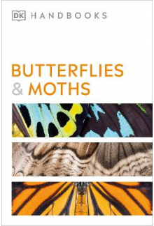 Butterflies and Moths - Humanitas