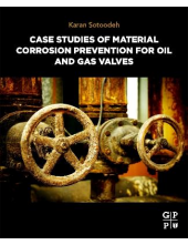 Case Studies of Material Corrosion Prevention for Oil and Gas Valves - Humanitas