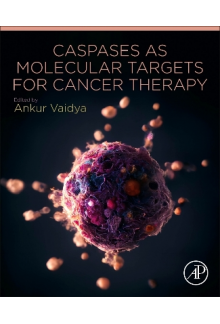 Caspases as Molecular Targets for Cancer Therapy - Humanitas
