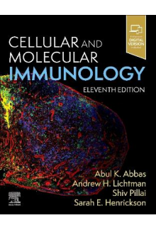 Cellular and Molecular Immunol ogy - Humanitas