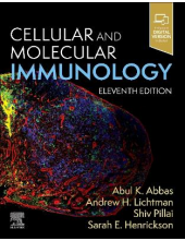 Cellular and Molecular Immunol ogy - Humanitas