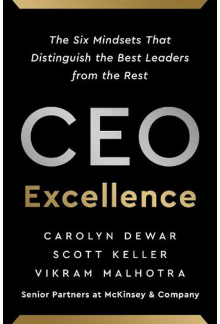 CEO Excellence - Humanitas