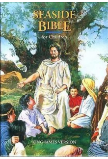 Holy Bible Seaside Bible King James Version - Humanitas