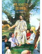 Holy Bible Seaside Bible King James Version - Humanitas