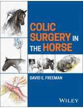 Colic Surgery in the Horse - Humanitas
