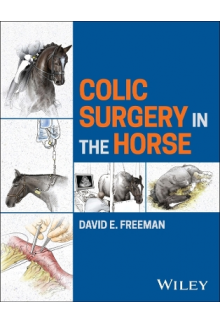 Colic Surgery in the Horse - Humanitas