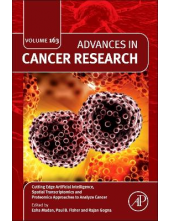 Cutting Edge Artificial Intelligence, Spatial Transcriptomics and Proteomics Approaches to Analyze Cancer - Humanitas