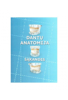 Dantų anatomija. Sąkandis - Humanitas