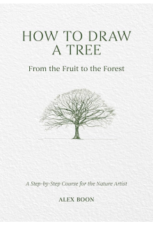 How to Draw a Tree: from the Fruit to the Forest - Humanitas