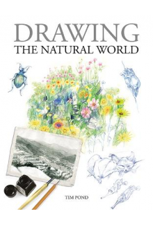 Drawing the Natural World - Humanitas