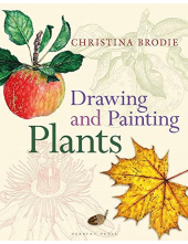 Drawing and Painting Plants - Humanitas