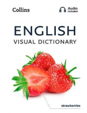 English Visual Dictionary : A Photo Guide to Everyday Words and Phrases in English - Humanitas