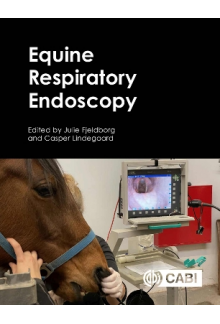 Equine Respiratory Endoscopy - Humanitas