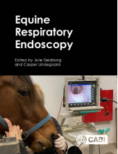 Equine Respiratory Endoscopy - Humanitas