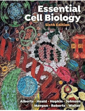 Essential Cell Biology - Humanitas