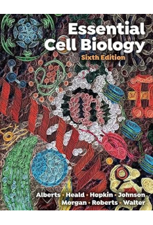 Essential Cell Biology - Humanitas