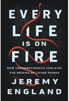 Every Life Is On Fire - Humanitas