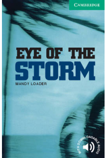 CER 3: The Eye of the Storm - Humanitas