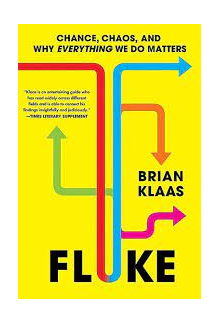 Fluke : Chance, Chaos, and Why Everything We Do Matters - Humanitas