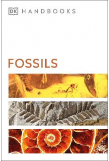 Fossils - Humanitas