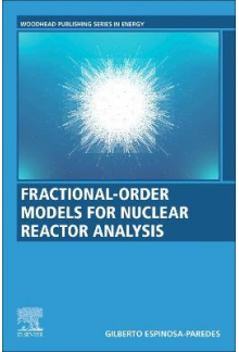 Fractional-Order Models for Nuclear Reactor Analysis - Humanitas