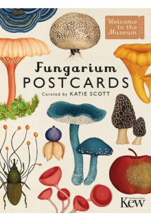 Fungarium Postcards - Humanitas