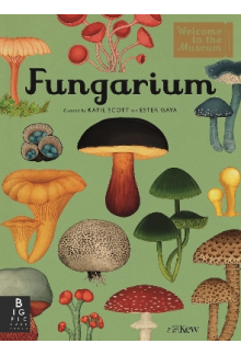 Fungarium - Humanitas