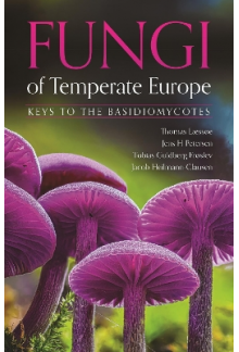 Fungi of Temperate Europe. Keys to the Basidiomycotes - Humanitas