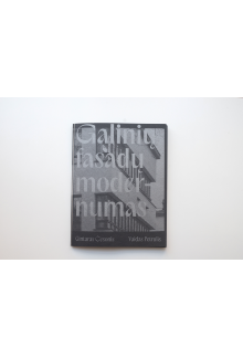 Galinių fasadų modernumas - Humanitas