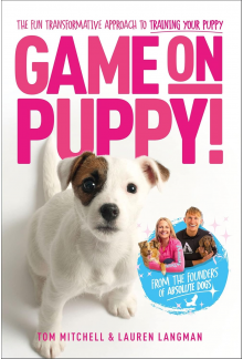 Game On, Puppy! - Humanitas