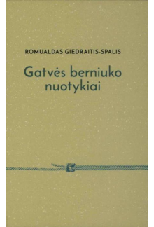 Gatvės berniuko nuotykiai - Humanitas