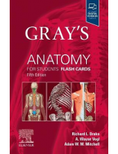 Gray's Anatomy for Students Flash Cards - Humanitas
