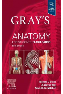 Gray's Anatomy for Students Flash Cards - Humanitas