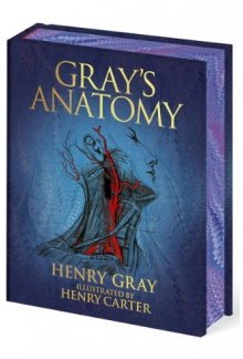 Gray's Anatomy (Arcturus Epic Classics) - Humanitas