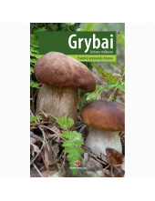 Grybai Lietuvos miškuose - Humanitas
