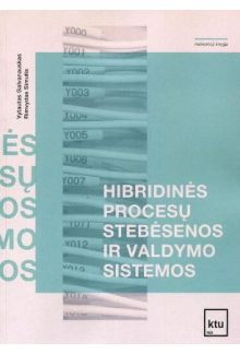 Hkibridinės procesų stebėsenos ir valdymo sistemos - Humanitas