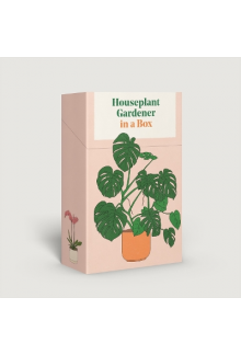 Houseplant Gardener in a Box - Humanitas