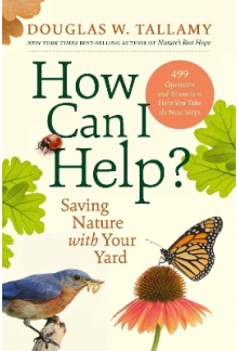 How Can I Help? - Humanitas