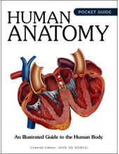 Human Anatomy: An Illustrated Guide to the Human Body - Humanitas